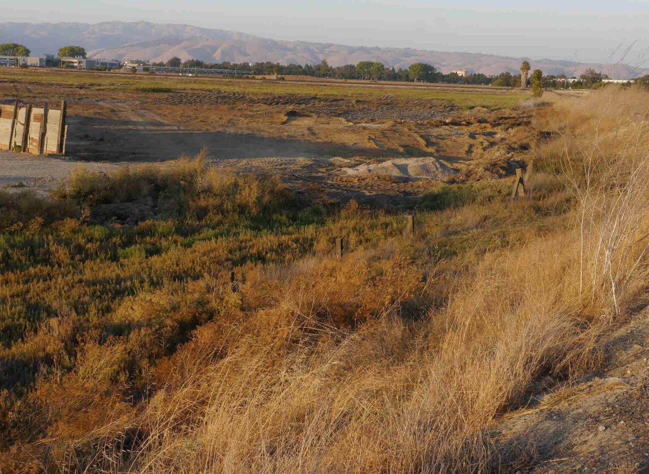 Federally protected wetlands in Newark where James Lucero dumped dirt and construction debris. Photo by Citizens Committee to Complete the Refuge via federal court filings.